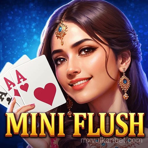 MiniFlush